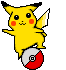 pika2