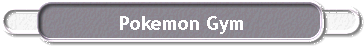  Pokemon Gym 